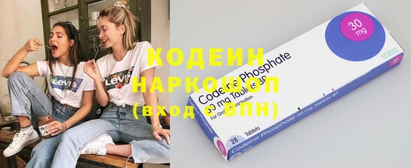 индика Лихославль