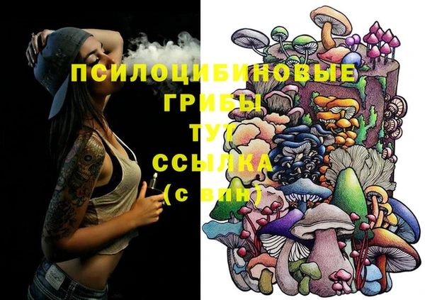 сатива Саяногорск